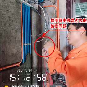 嘉湖君悦彭女士的新家